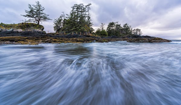 A tranquil coastal scene with flowing water and rocky shores in Tofino, BC.