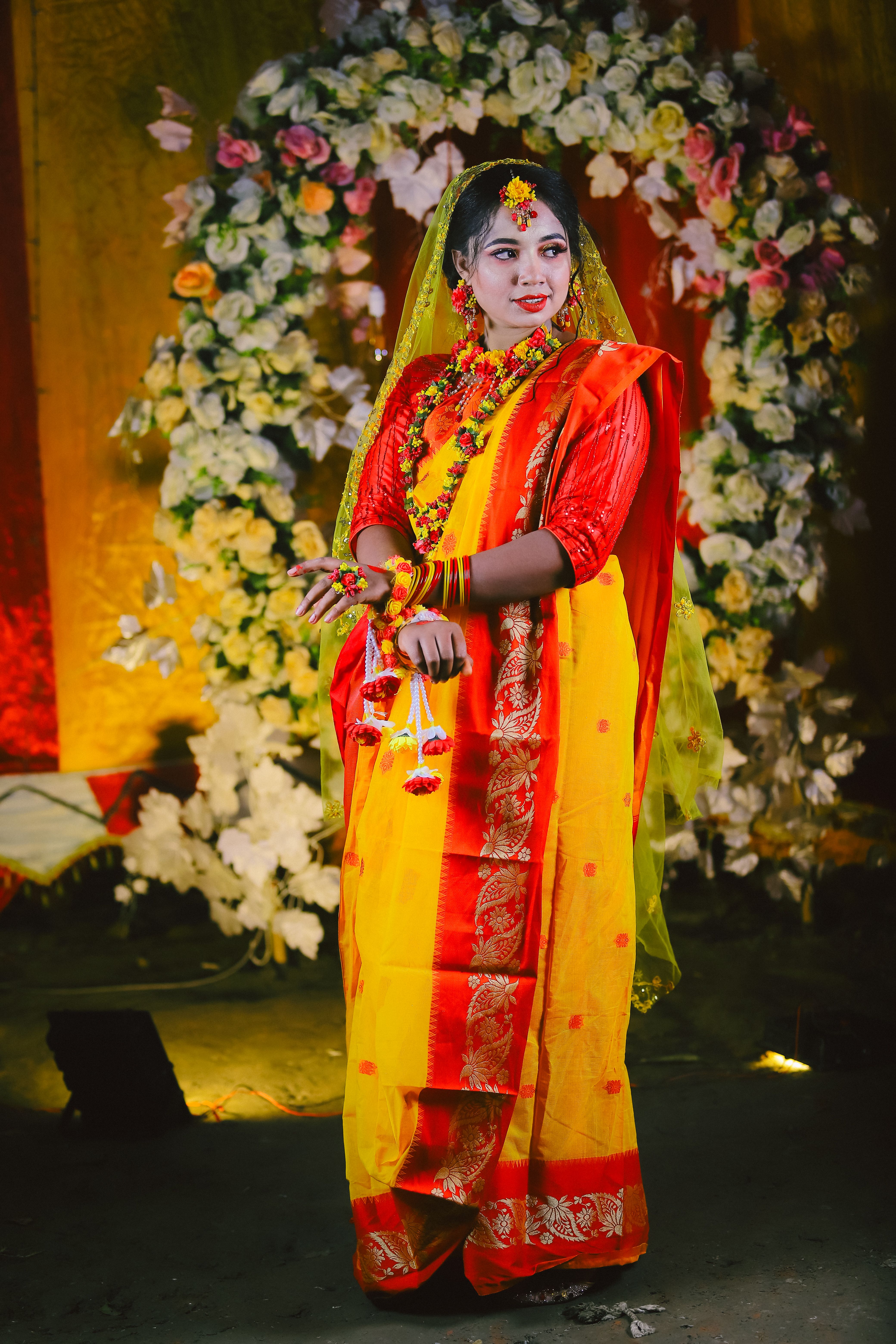 A woman in traditional indian attire posing for a photo · Free Stock Photo