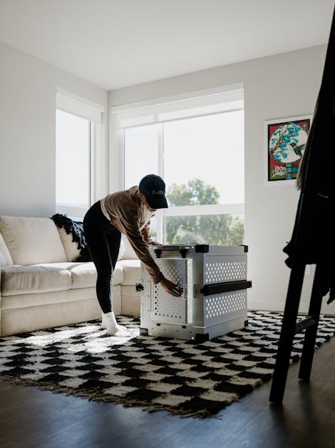 Discover Authentic Moroccan Rugs Delivered Across the USA