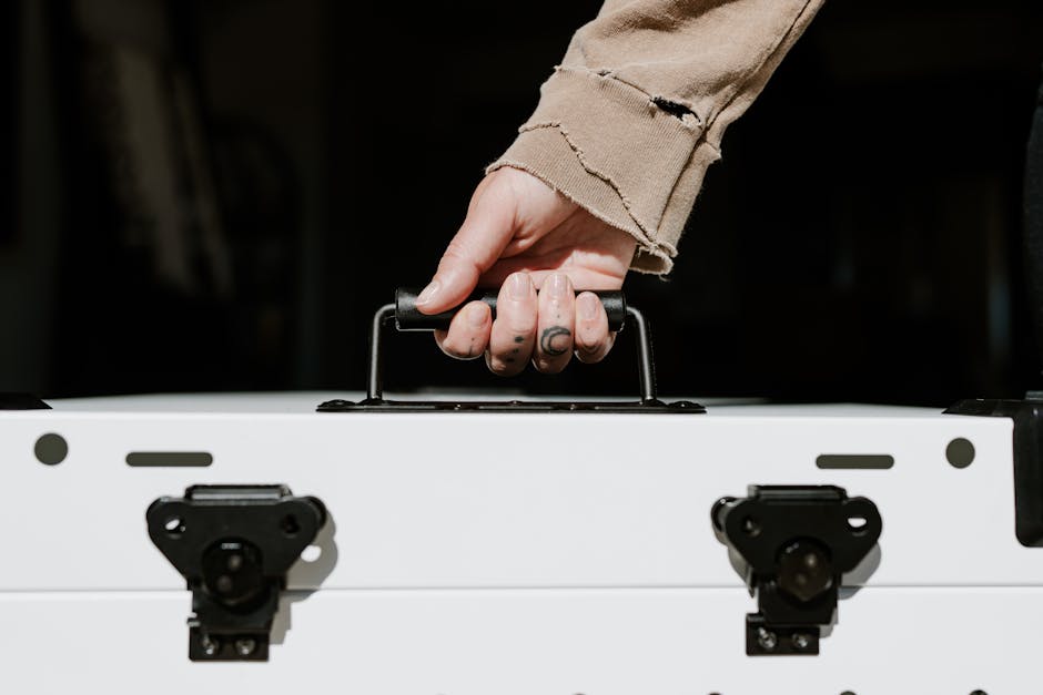 Imagen profesional de 'consejos infalibles emprender éxito strong 2025 emprendedores 2024 usa rápido marketing emprender según 2023 fracasan falta consejos datos negocio' por Impact Dog Crates