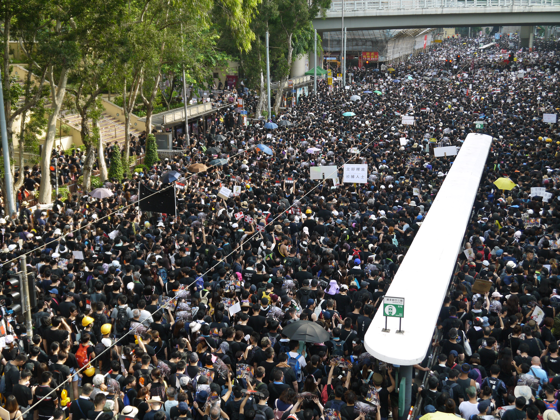Photo Of People On Street