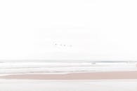 明亮的天空下，鸟儿飞越平静的海洋，构成一幅极简主义海景