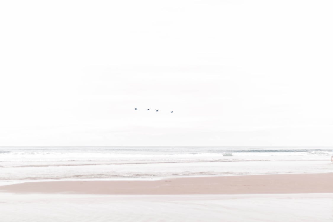 Fotobanka s bezplatnými fotkami na tému breh, horizont, krajina pri mori
