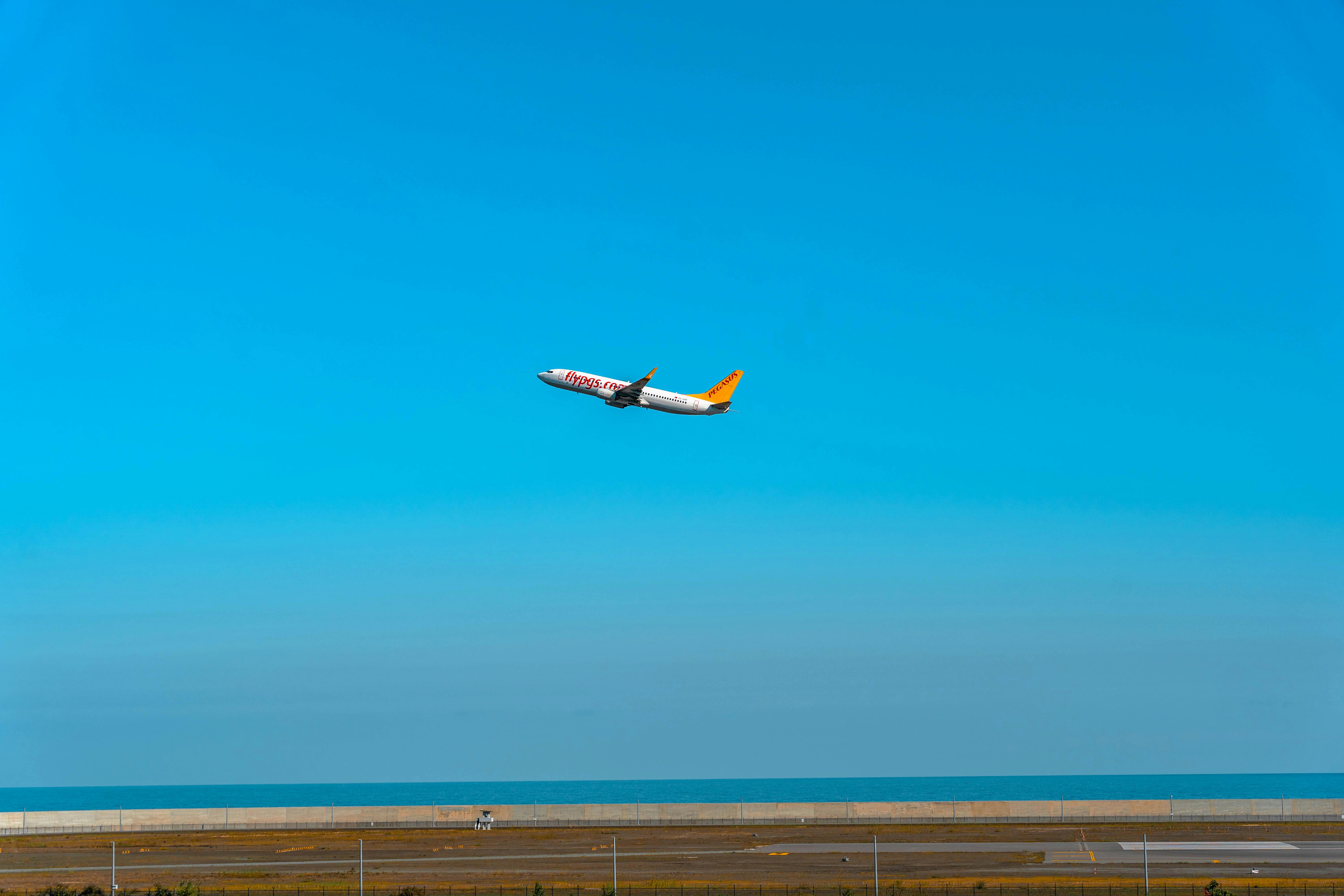 Webjet Group New Zealand appoints Taras Lee as general manager — Photo by Eren Arıcı on Pexels