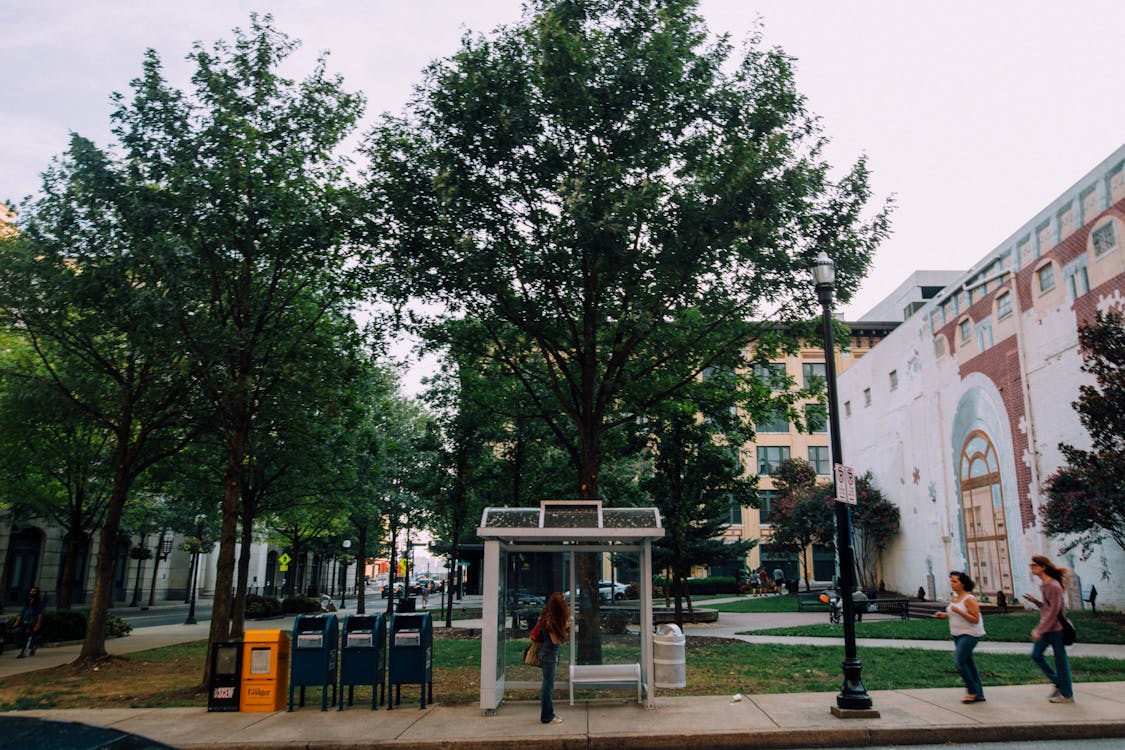 People On Sidewalk Near A Park