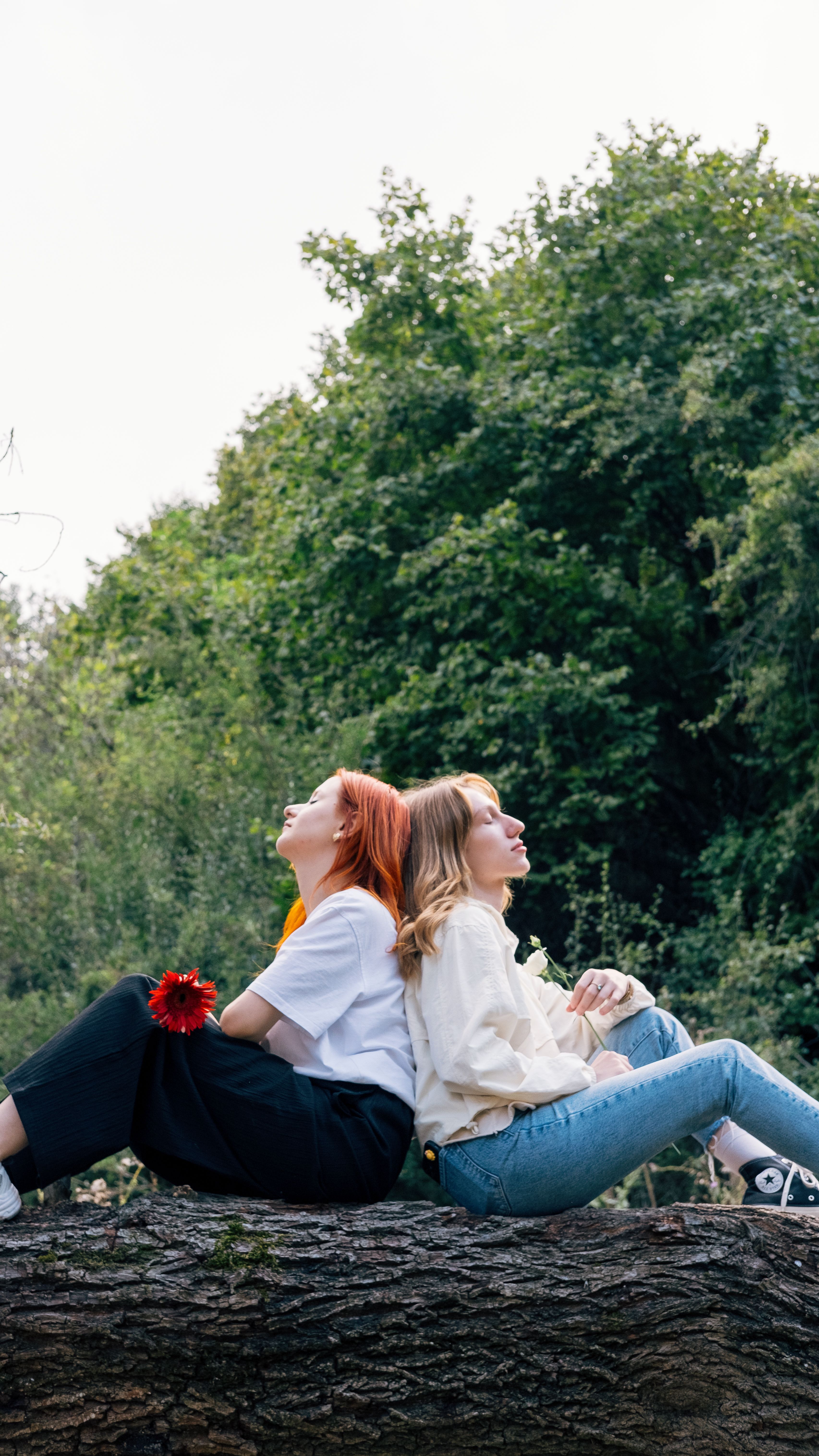 Two women sitting on a log in the woods · Free Stock Photo