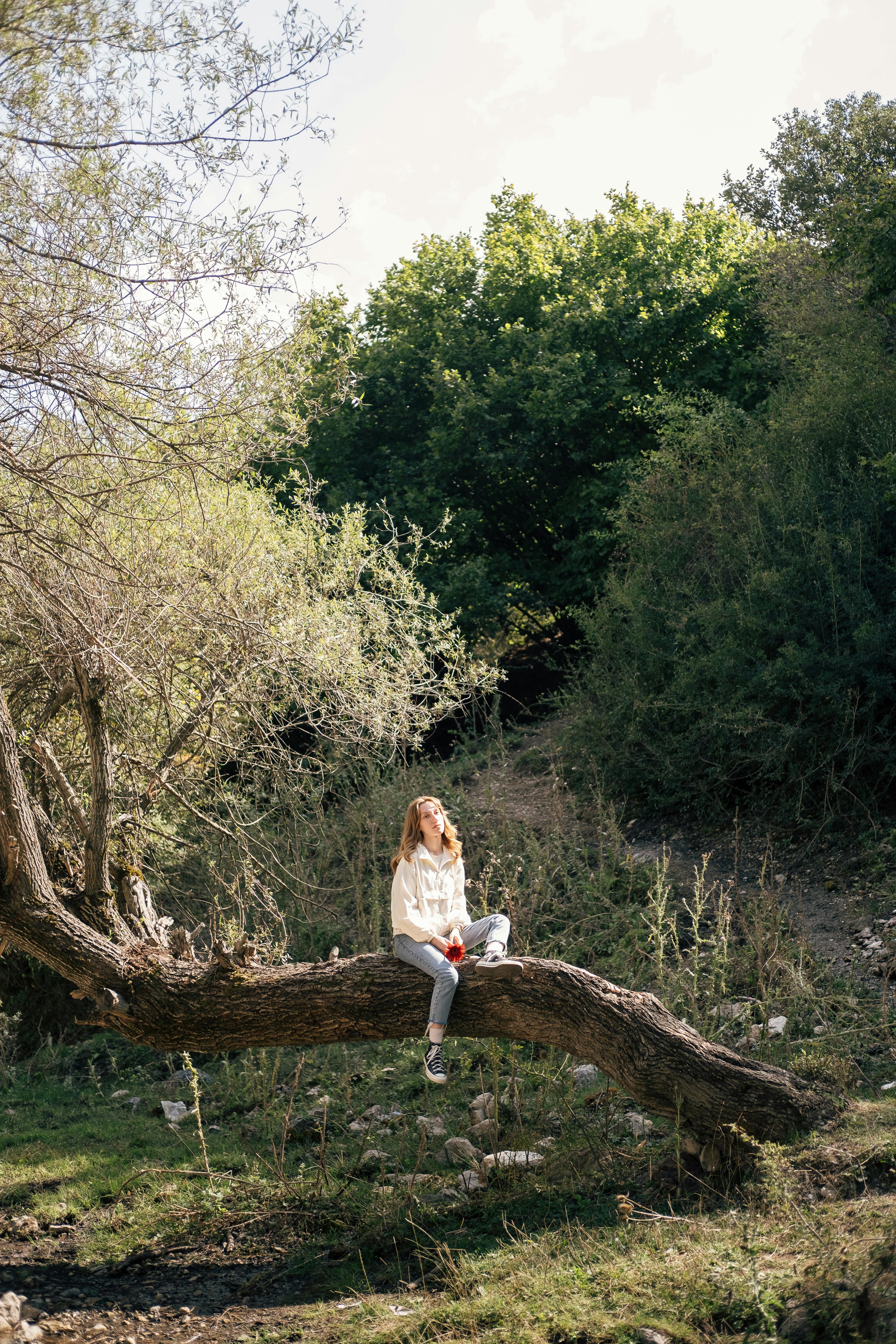 a woman sitting on a tree branch in the woods