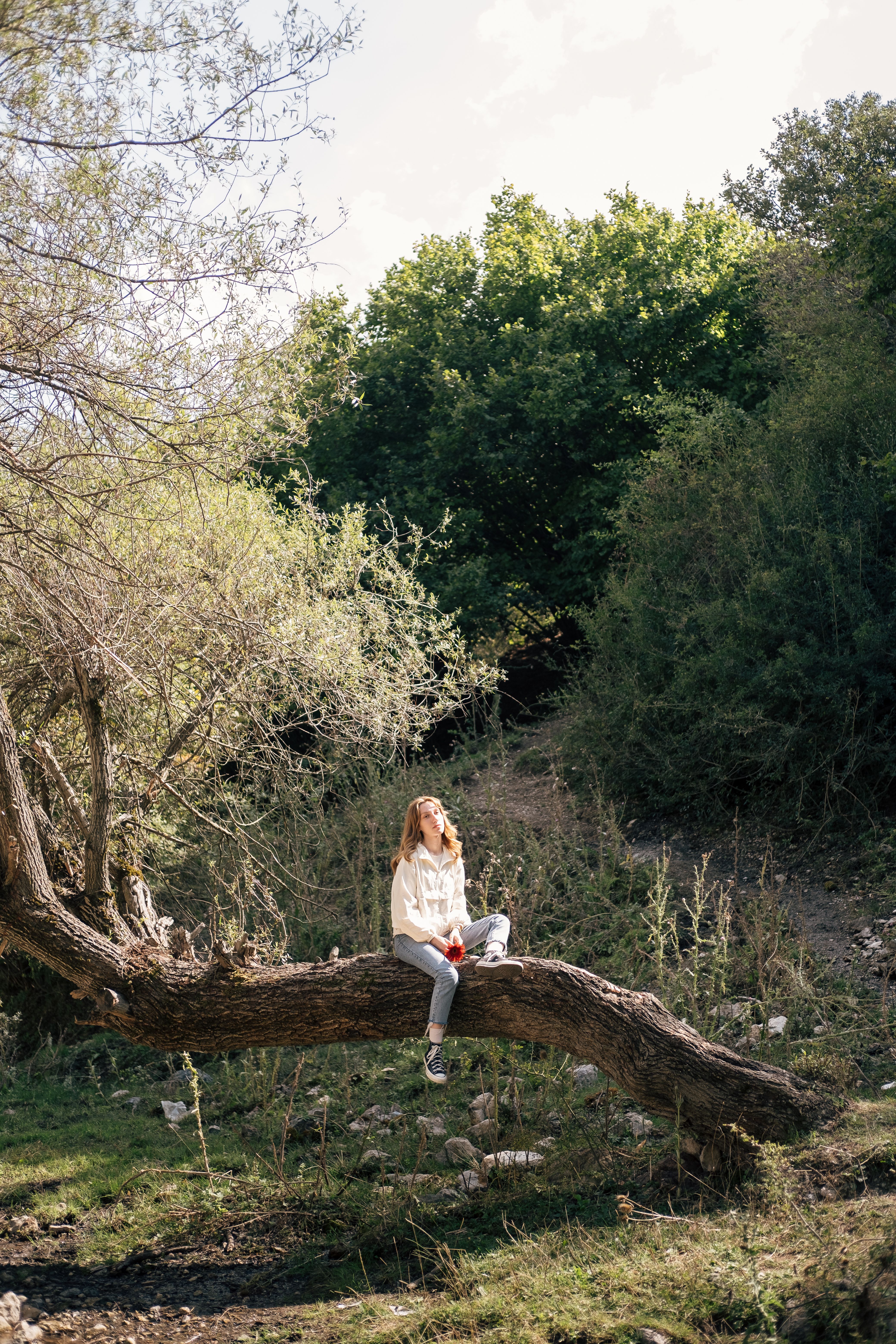 A woman sitting on a tree branch in the woods · Free Stock Photo