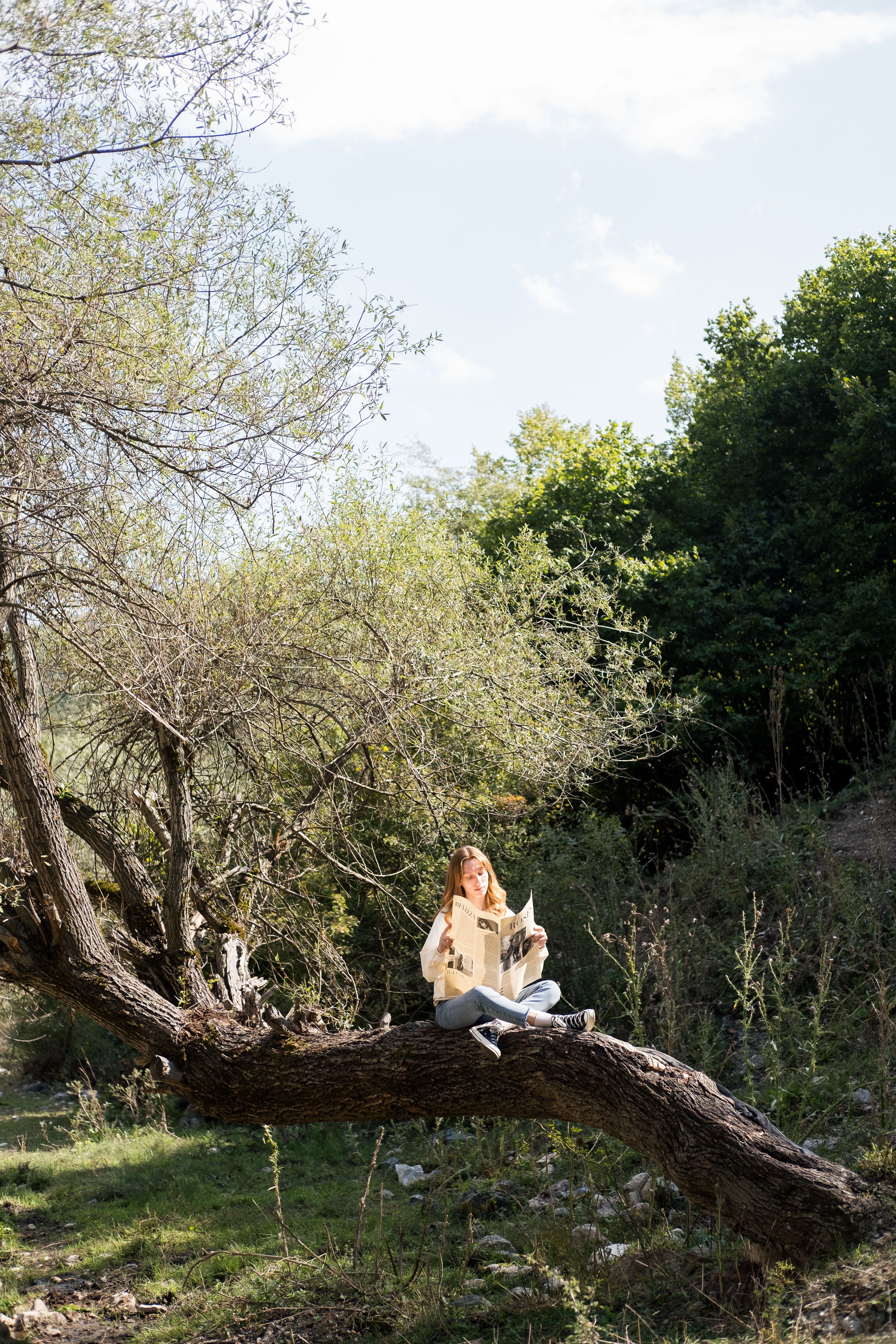 A woman sitting on a tree branch in the woods · Free Stock Photo