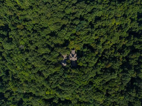 Drone shot capturing lush green forest canopy in Nashville, TN.