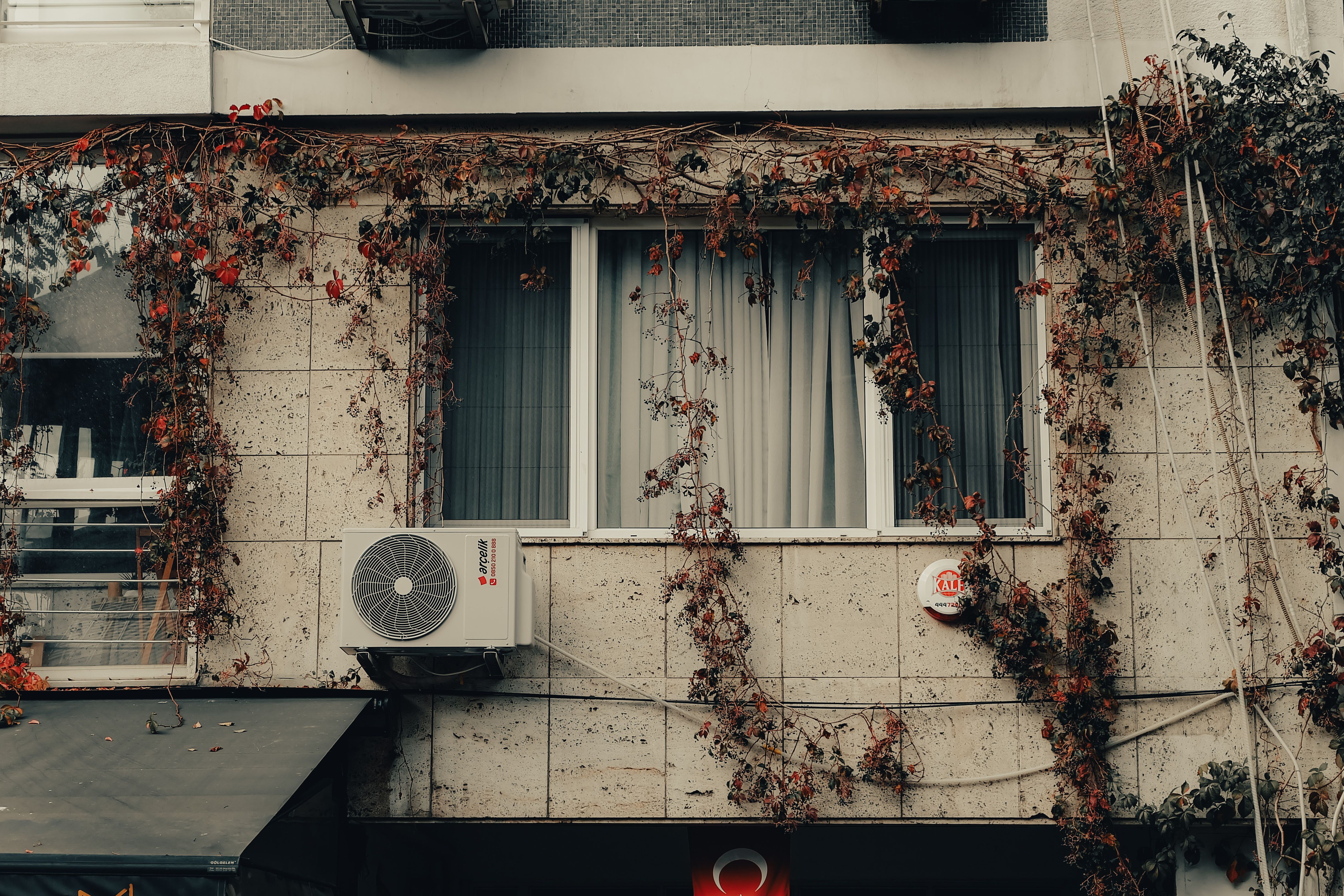 Facade of an urban building with vines and air conditioner, autumn setting.