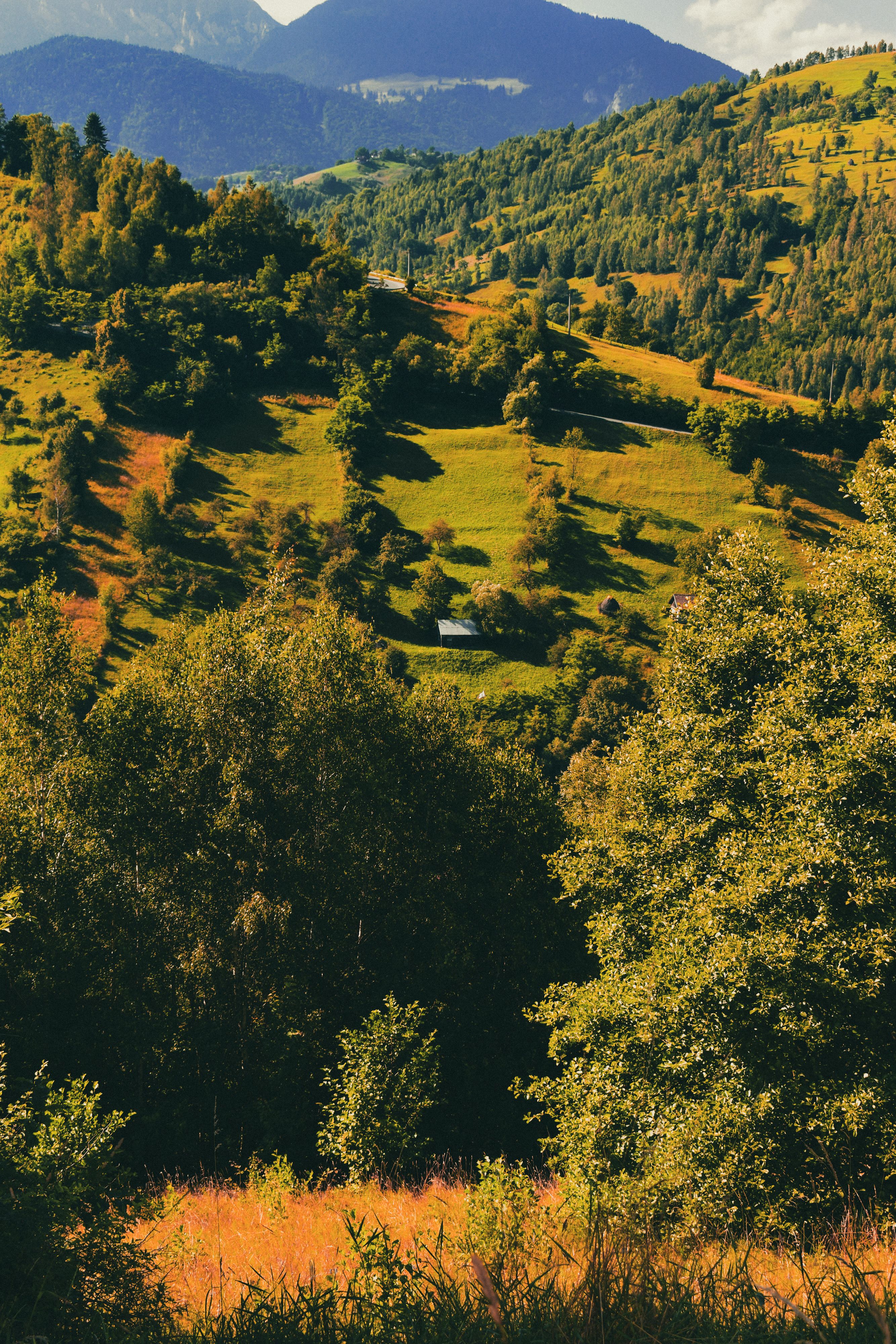 Scenic Mountain Landscape During Summer · Free Stock Photo