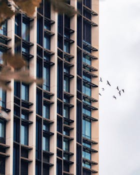 鸟儿飞过城市中几何立面的摩天大楼，展示了现代建筑的特色