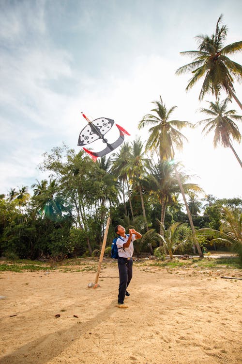 Boy Playing with Kite Near Palm trees 