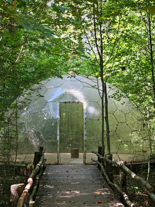 Free A serene view of a transparent geodesic dome surrounded by lush forest foliage, perfect for eco-tourism. Stock Photo