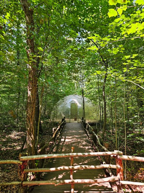 Free Explore a serene forest pathway leading to a unique tent amid lush greenery. Perfect for nature experiences. Stock Photo
