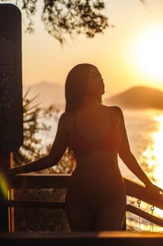 Captivating image of a woman enjoying a sunset view at a Niterói beach in Brazil.