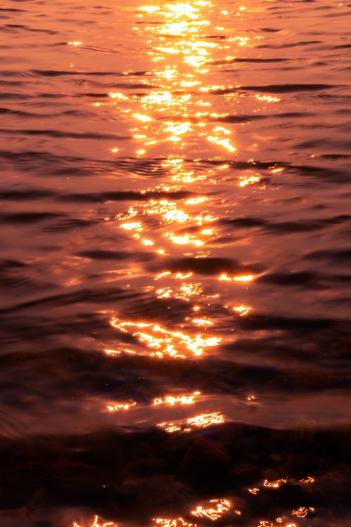 Free Captivating golden sunset reflecting on rippling water in Kangra, India. Stock Photo