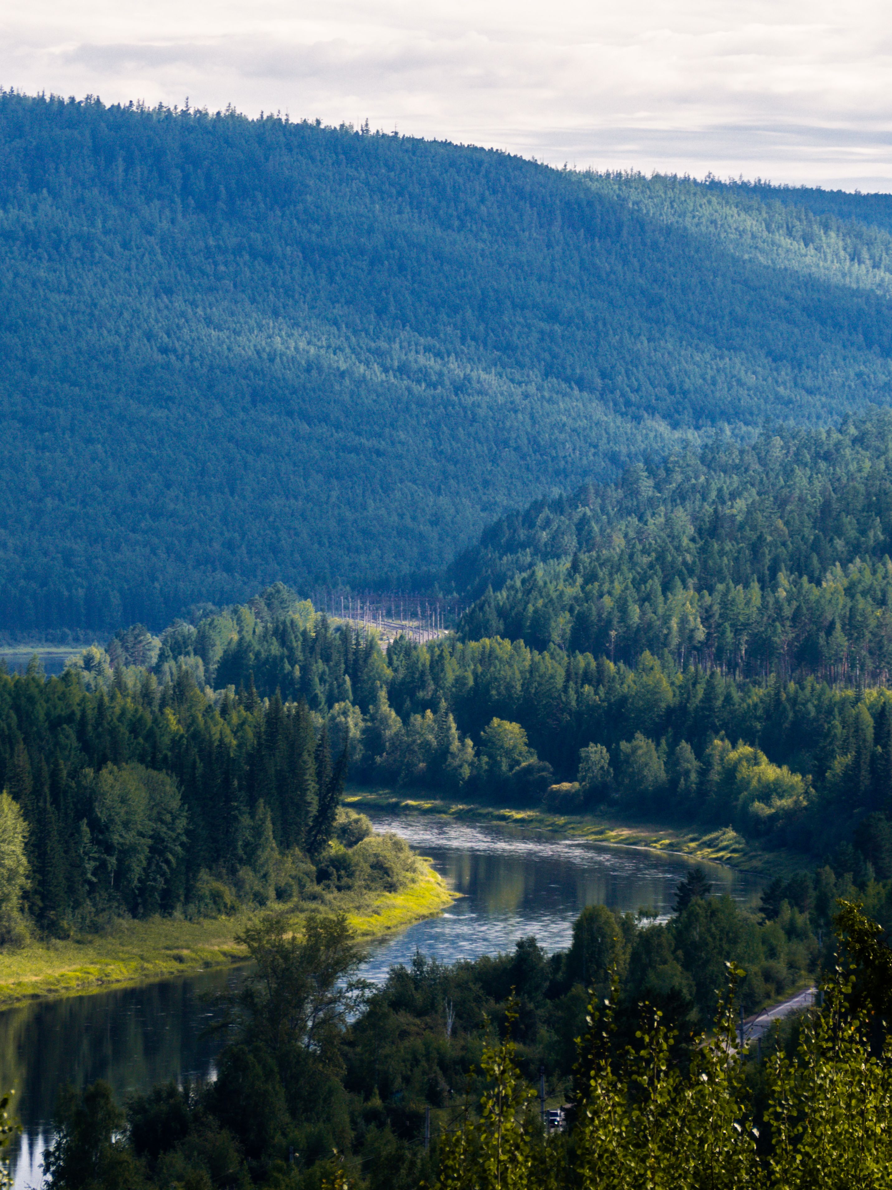 Kostnadsfria Vackra Flod  Och Skogslandskap I Ryssland Stock foto