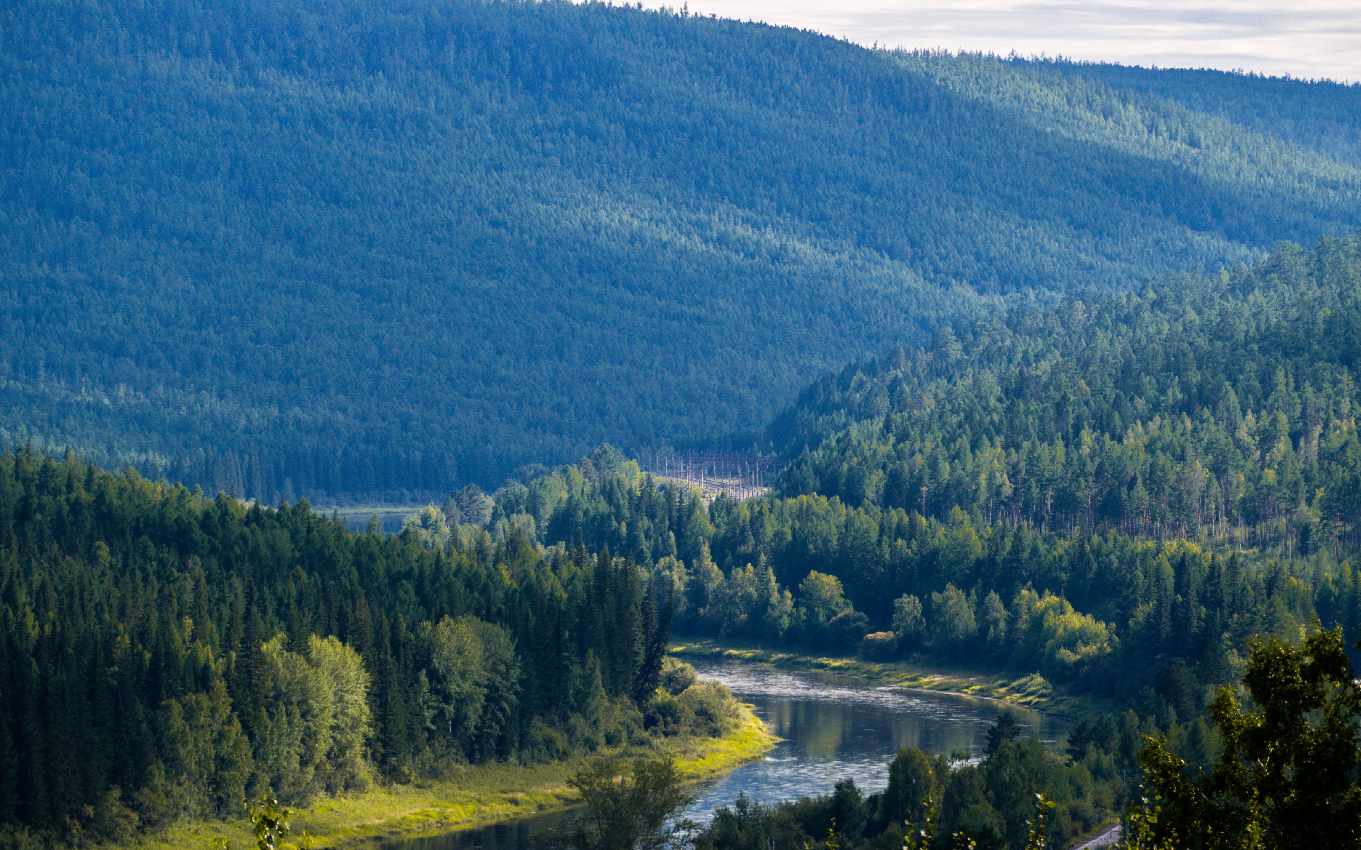 Peaceful view of lush forest and winding river in Ust-Kut, Irkutsk, Russia.