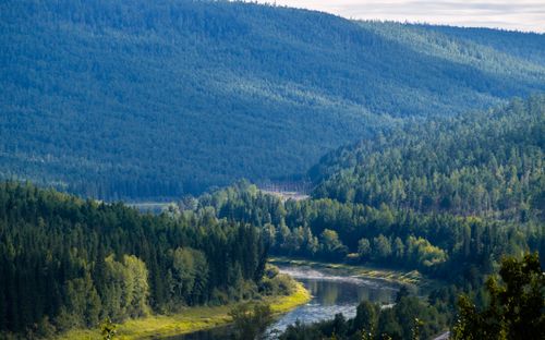 Free Peaceful view of lush forest and winding river in Ust-Kut, Irkutsk, Russia. Stock Photo