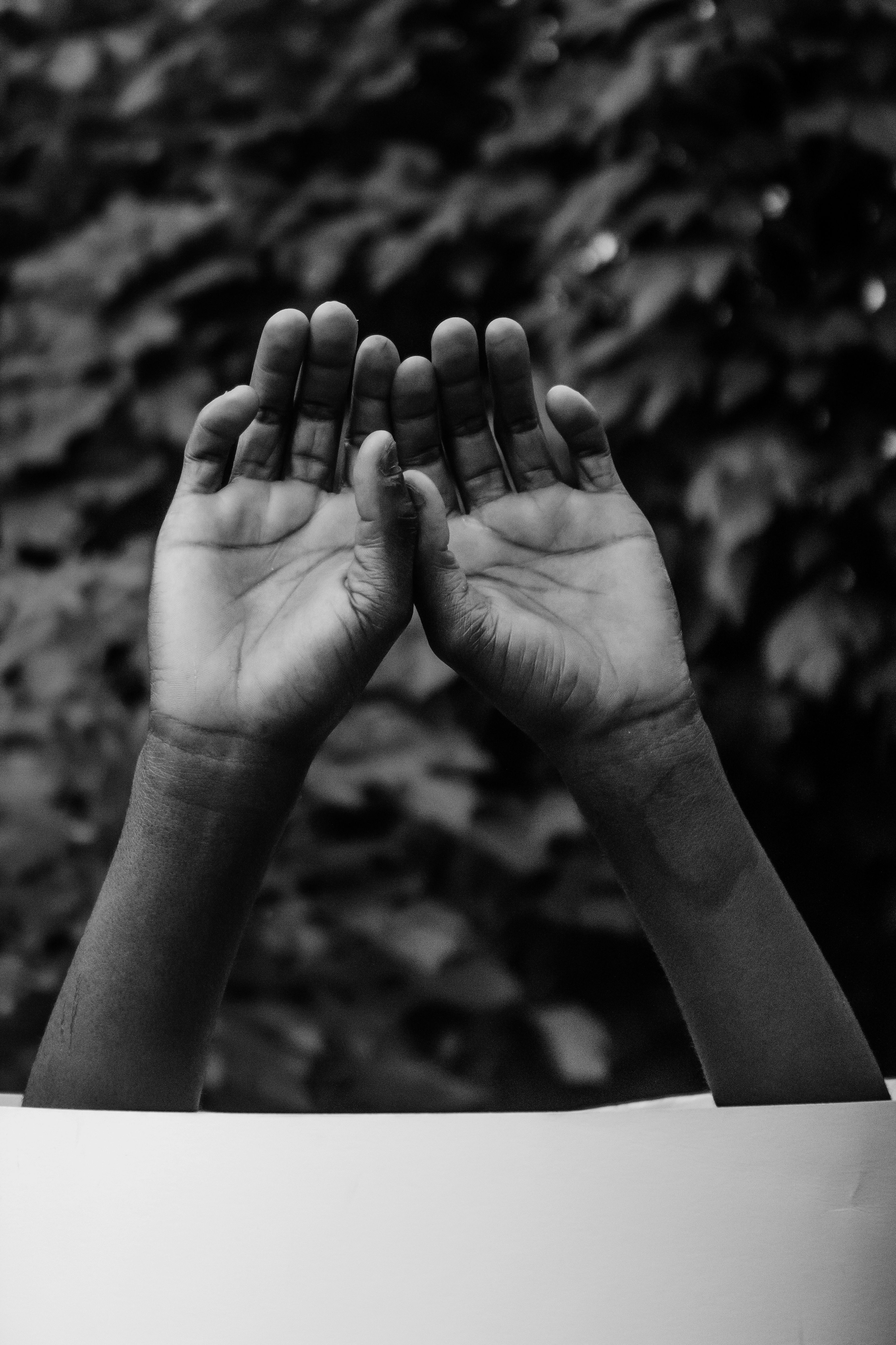 Raised Hands of Person in Black and White · Free Stock Photo