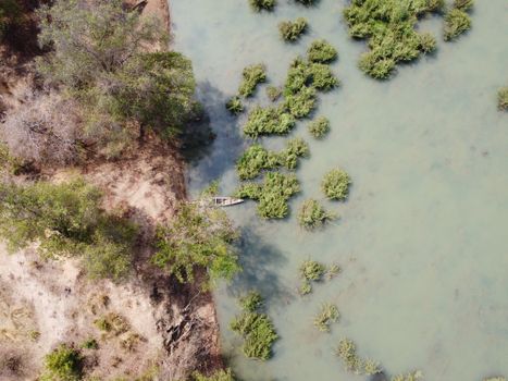 Mole National Park elephants — Ghana