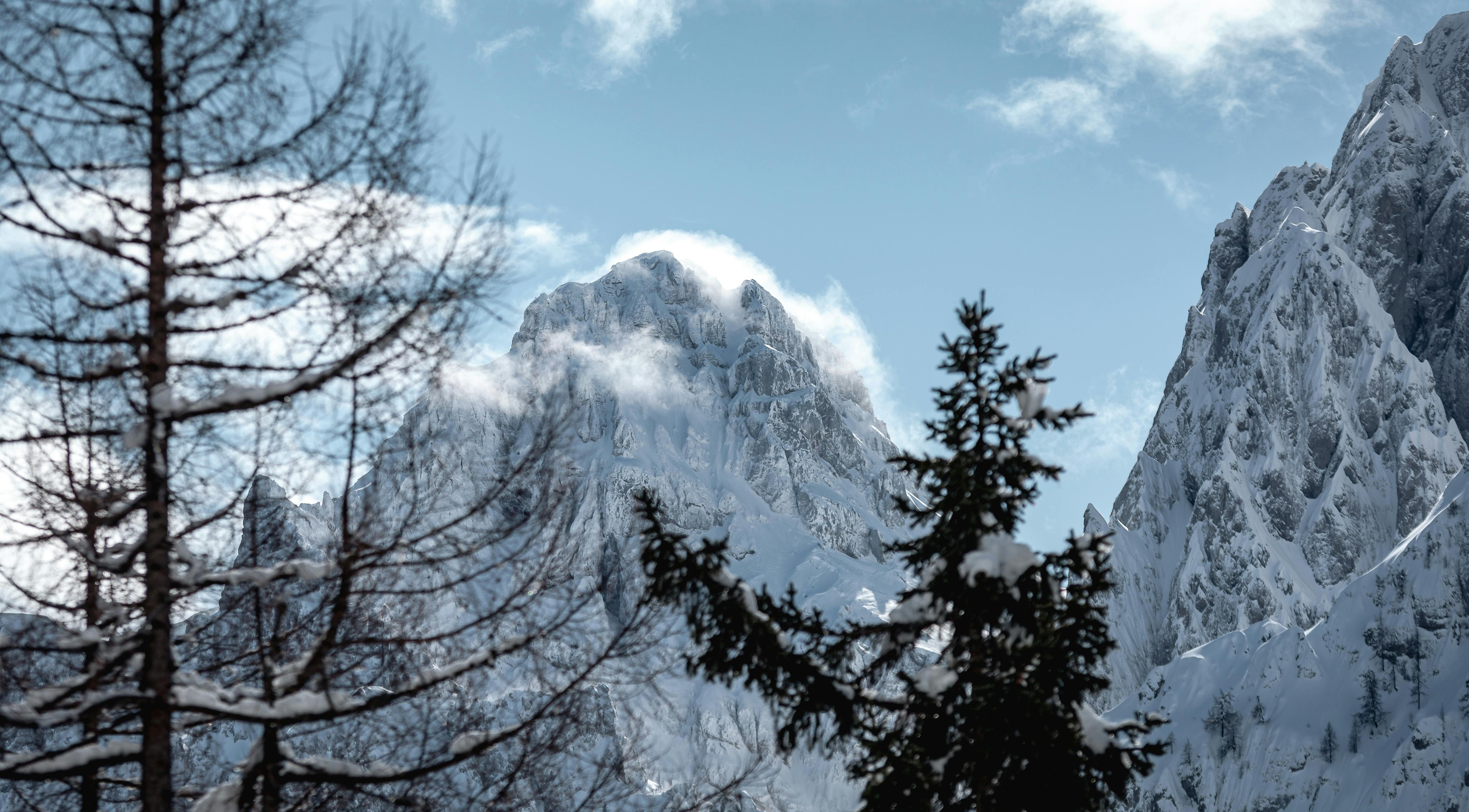 Vertiseit (Q1 Review): Look beyond volatile non-SaaS revenue — Photo by Andreas Ebner on Pexels