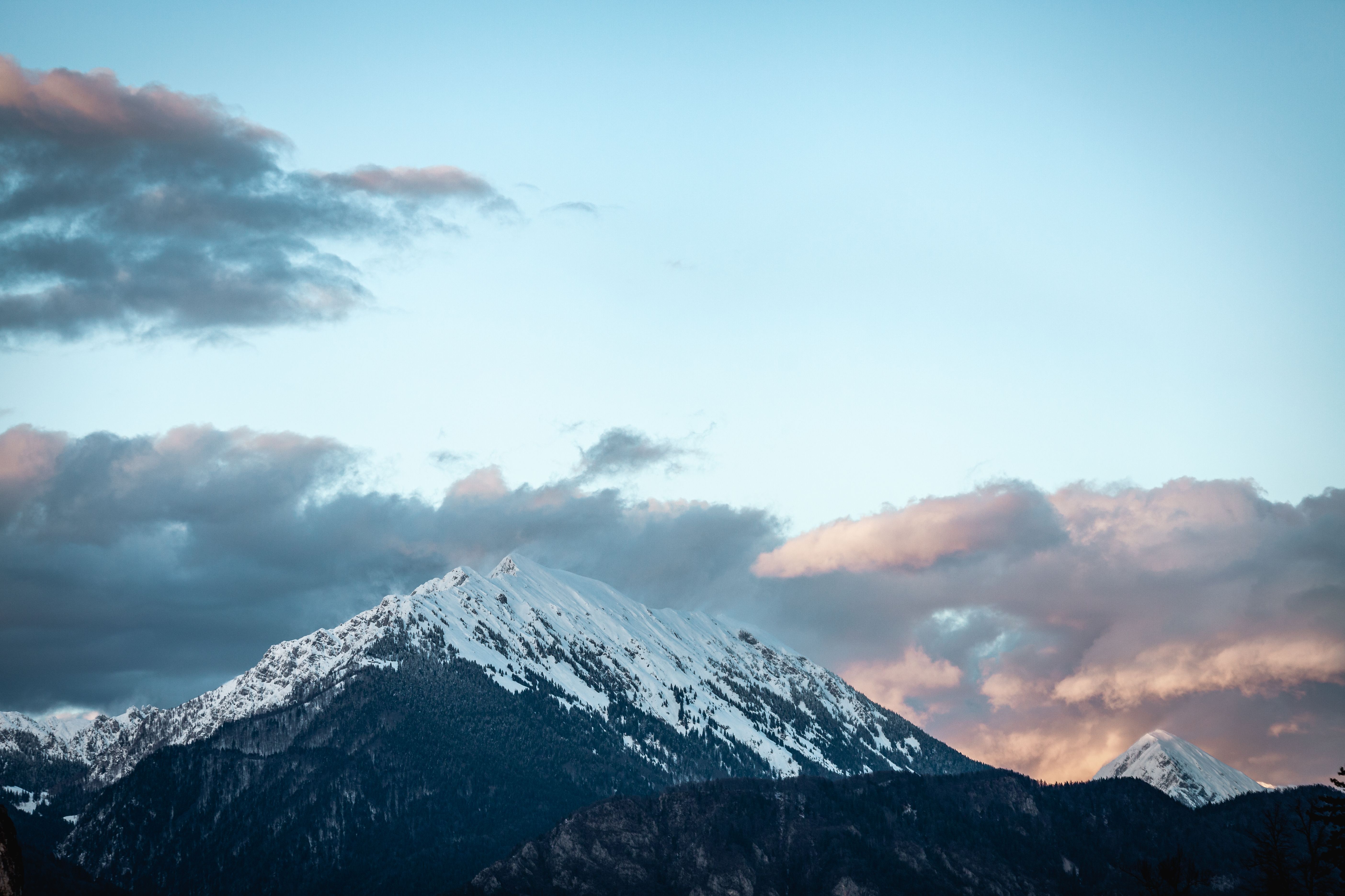 Big Horn Outdoor Adventure Show Giveaway 2026 | Contest Archive — Photo by Andreas Ebner on Pexels