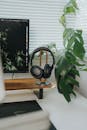 Headphones and a Houseplant in an Office