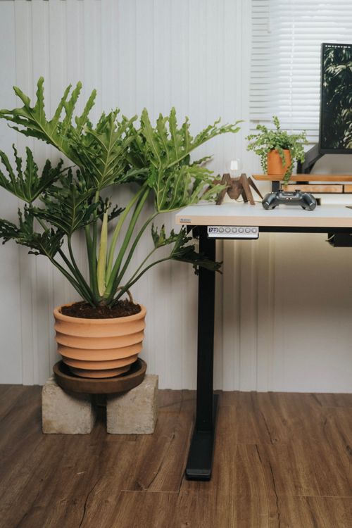 Free Contemporary home office setup featuring potted plants and sleek modern furniture for a tranquil workspace. Stock Photo