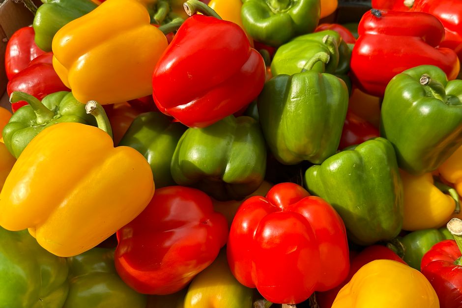 B12 Testing: When Should You Get Your Blood Checked
