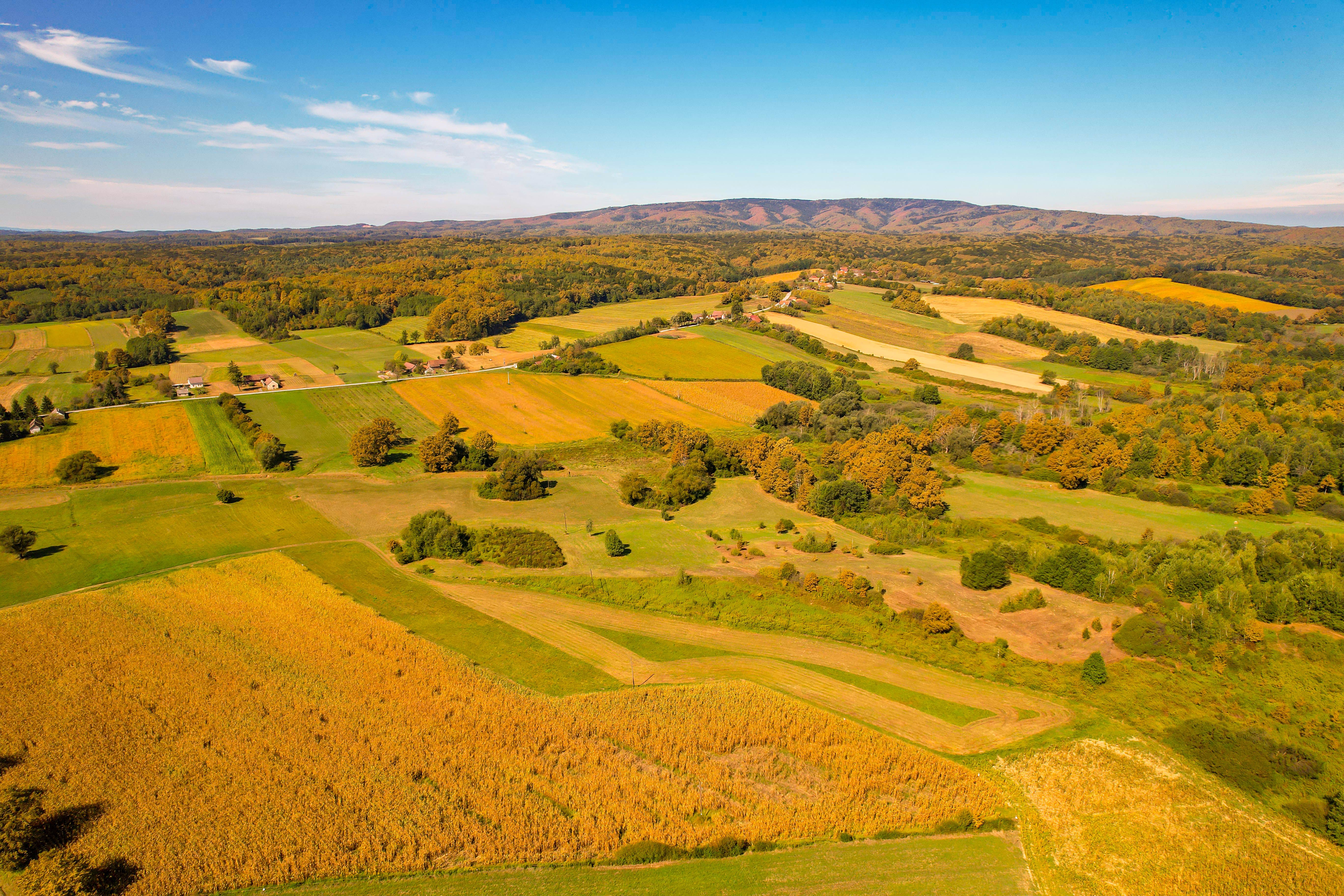 Country road through rolling farmland outside Springfield, Tennessee