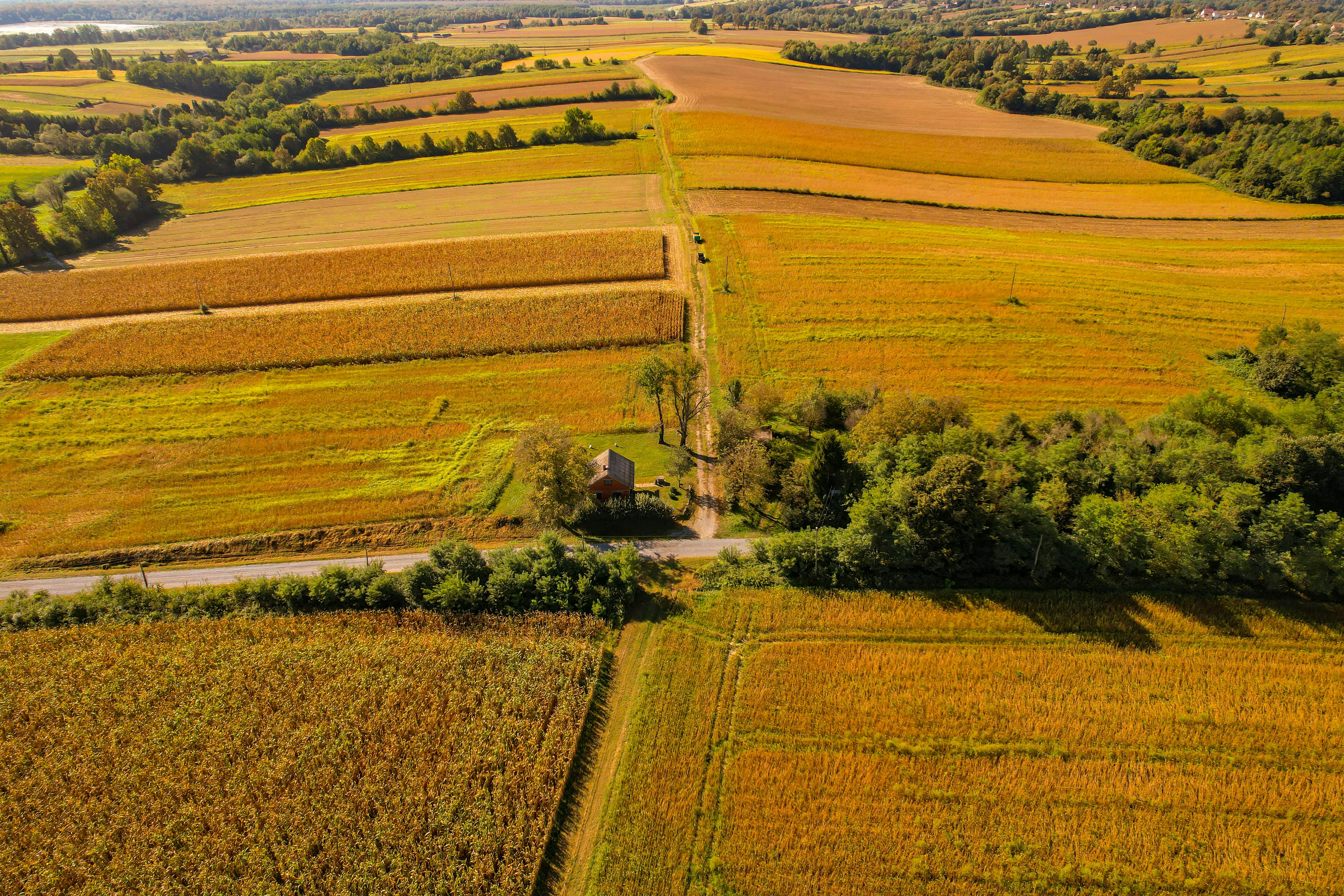 Ohio rural healthcare access — an advanced solution? — Photo by Vladimir Srajber on Pexels
