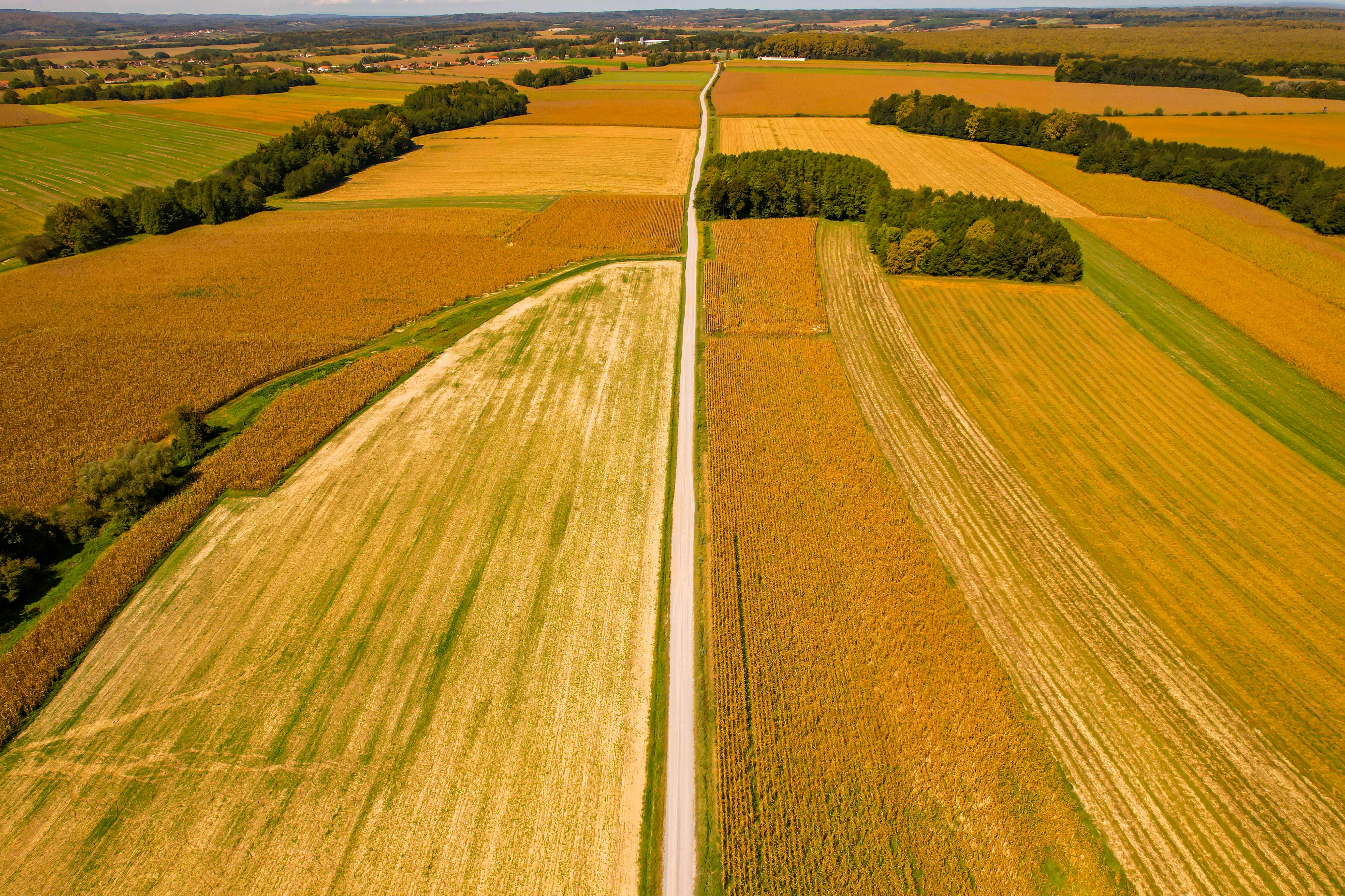 ACRES ESG, Executive Compensation, and Corporate Governance: 2025 SEC Filing Overview — Photo by Vladimir Srajber on Pexels