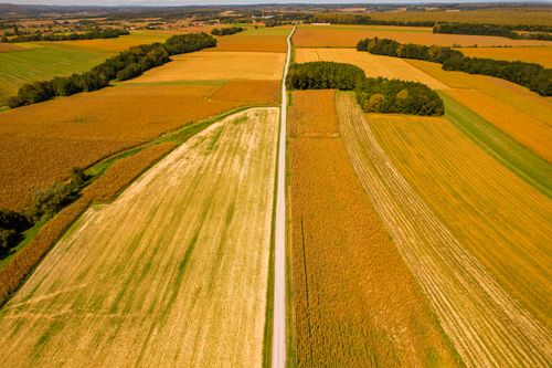 Free Drone shot of expansive fields in Garešnica, Croatia during autumn. Stock Photo
