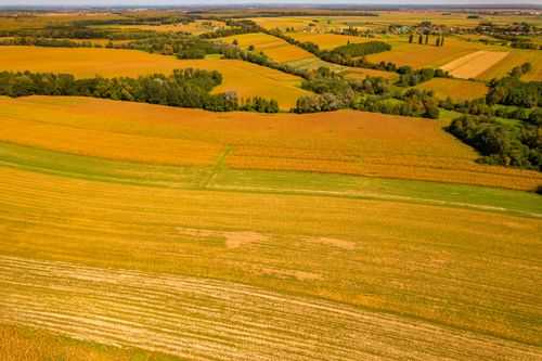 Free Beautiful aerial view of golden fields in Garešnica, Croatia during autumn. Stock Photo