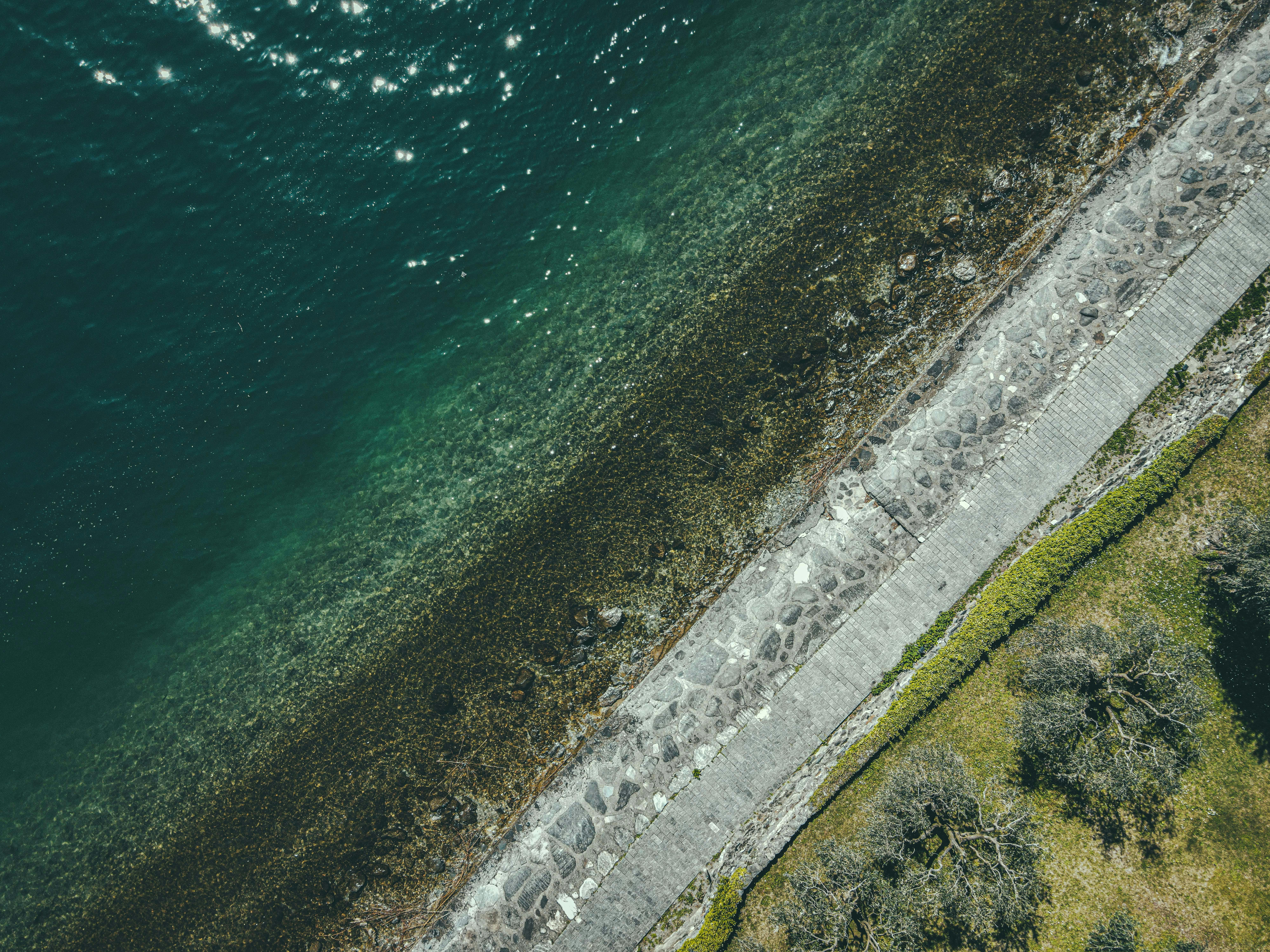 Sea-Level Rise and the Role of Geneva — Photo by Francesco Ungaro on Pexels
