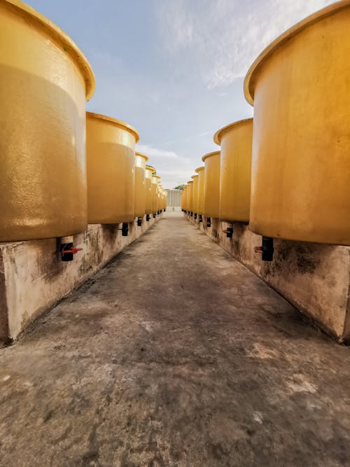 Yellow Containers Under Cloudy Sky