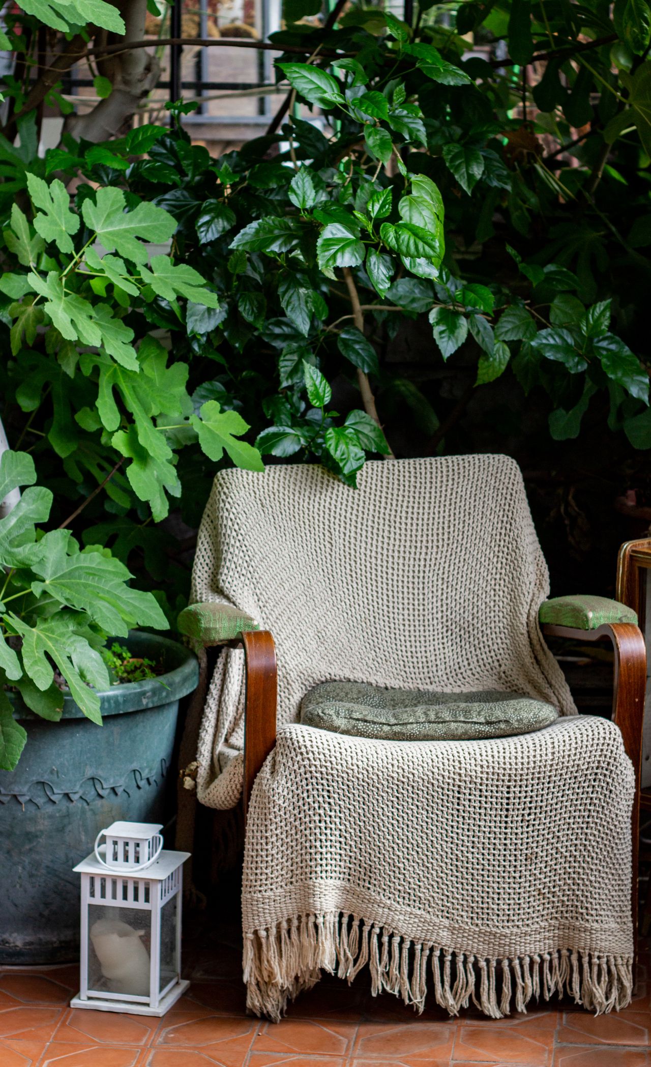 Knit throw draped over a chair surrounded by plants