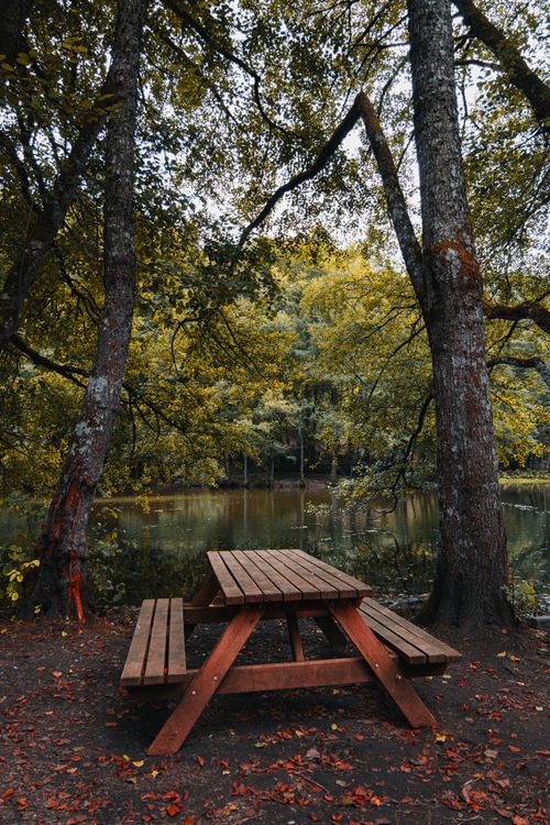 Free A peaceful picnic spot in a forested area by a calm lake, ideal for outdoor relaxation. Stock Photo