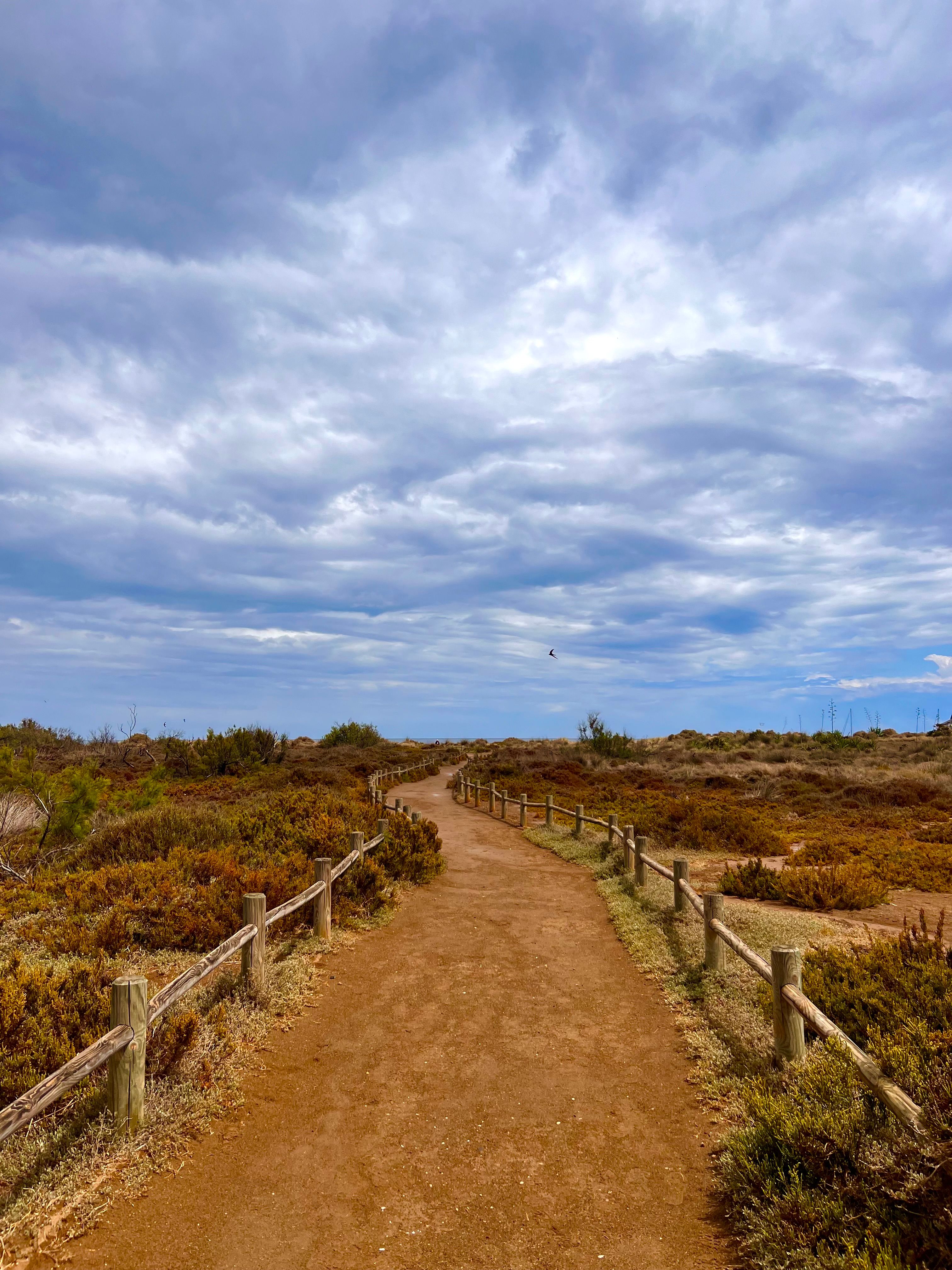 things to do in maricopa az