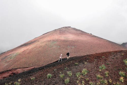 Photo Of People Walking During Daytime