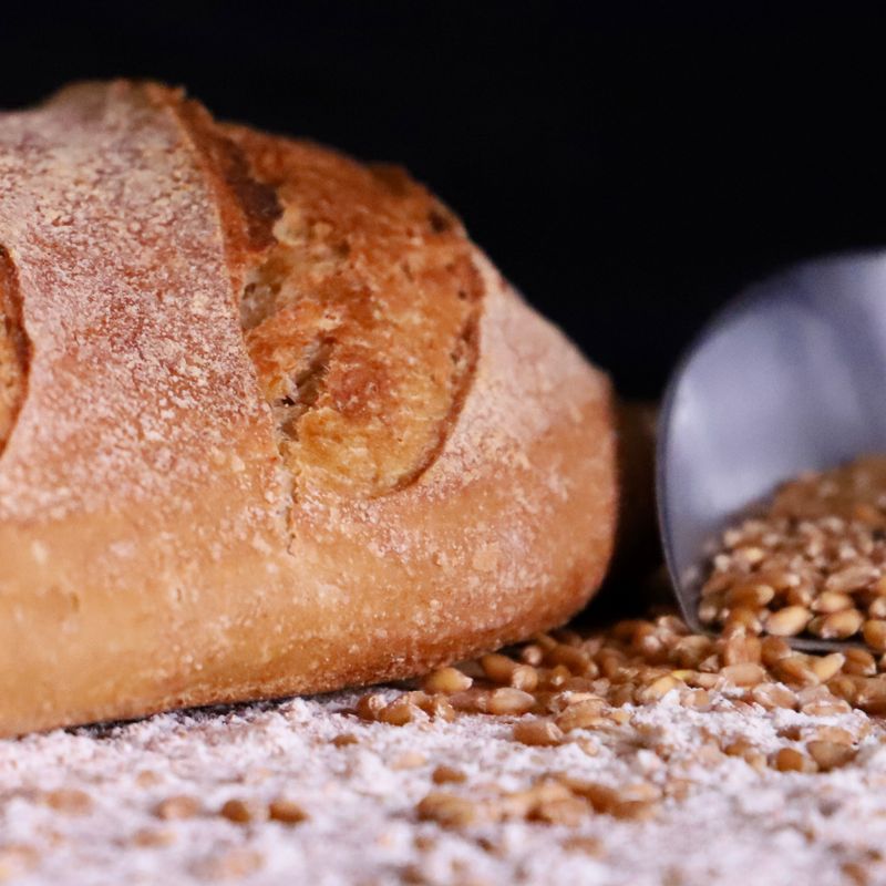 Sourdough Whole Wheat Honey Loaf