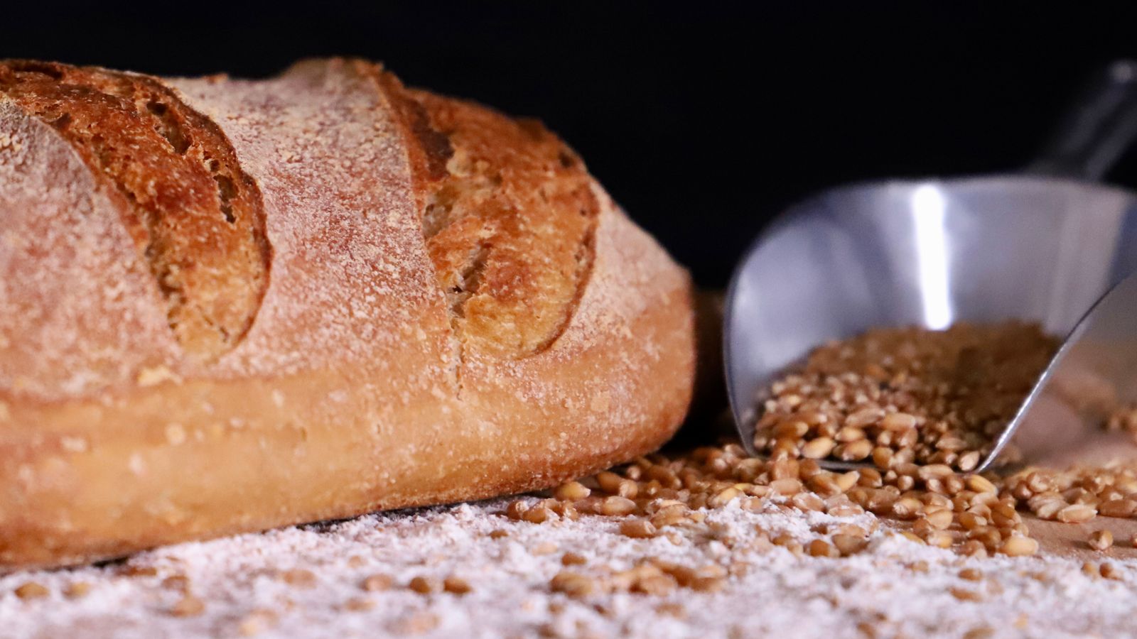 Rise & Knead - The Art and Craft of Sourdough Baking