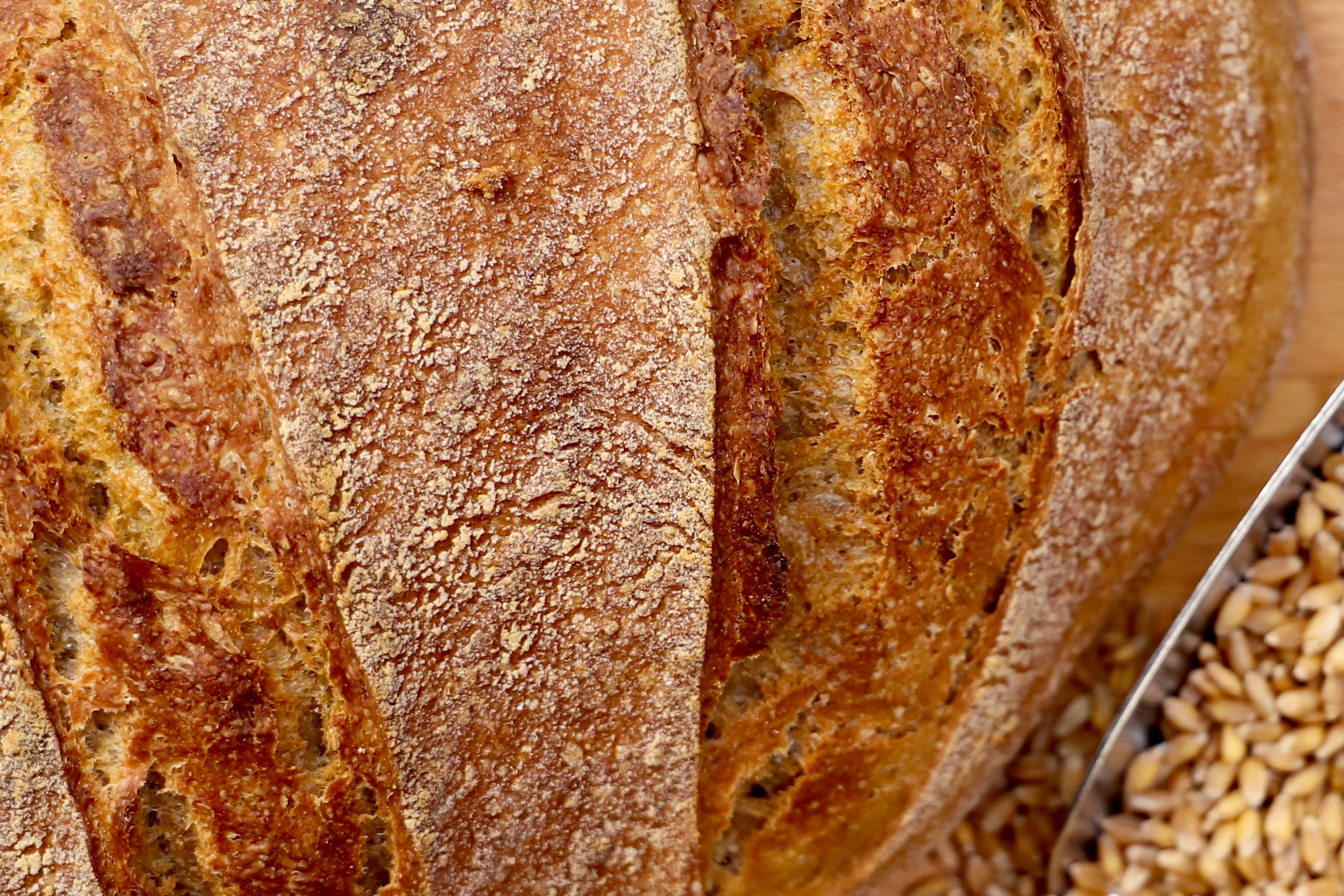 Silikonformen Set für Brot im Test