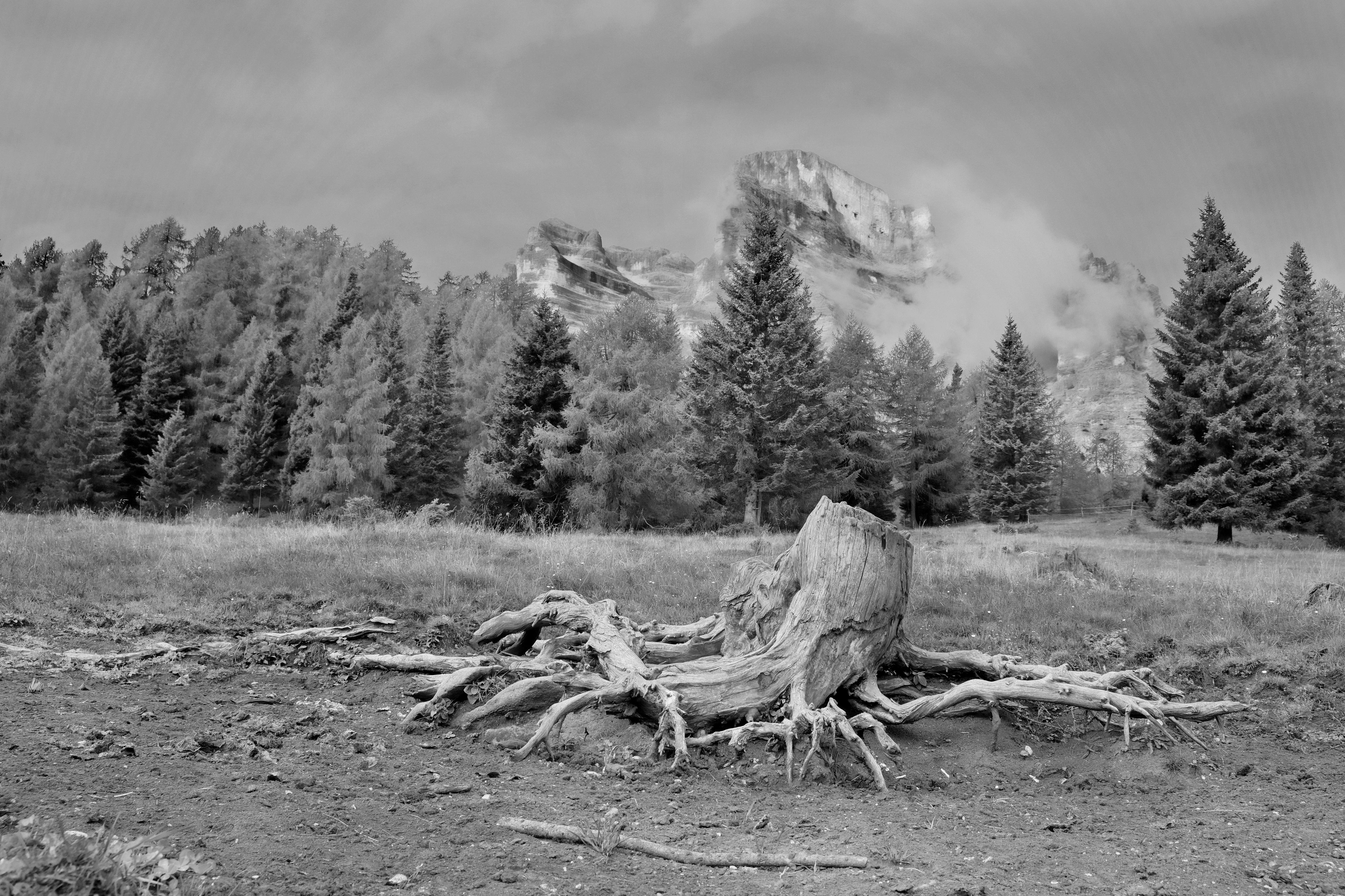 <b>Asal-Usul dan Sejarah Sedekah Bumi</b><b/>