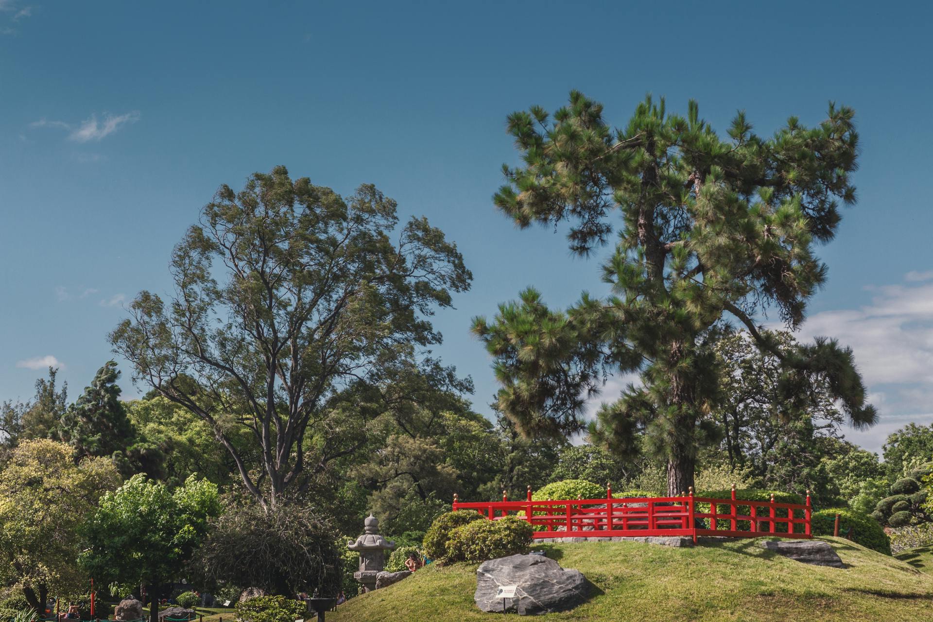 Trees and Red Fence in Jardin Japones Park in Buenos Aires, Argentina