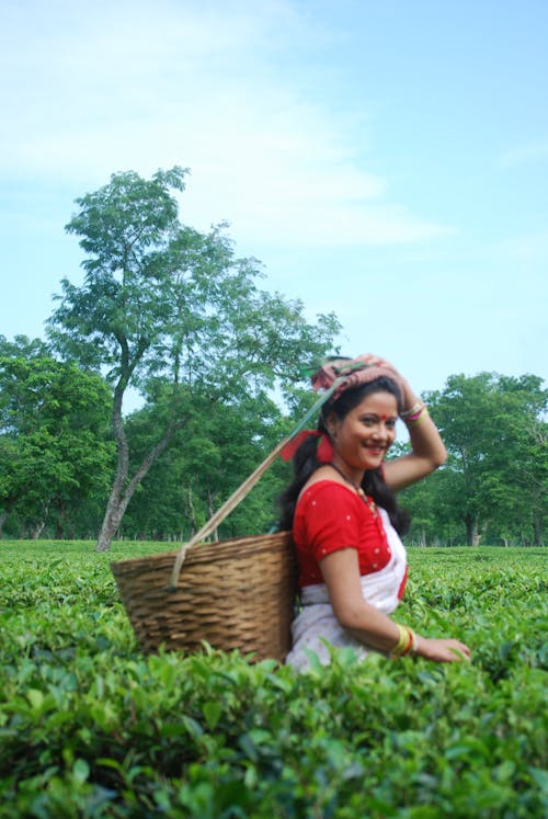 Free stock photo of asian female, assam, dark skinned model