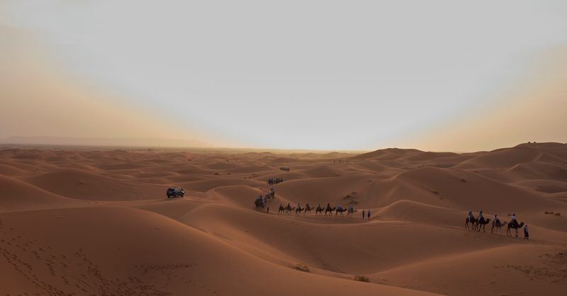 Voyage Maroc Tout Compris : Top Offres 2026